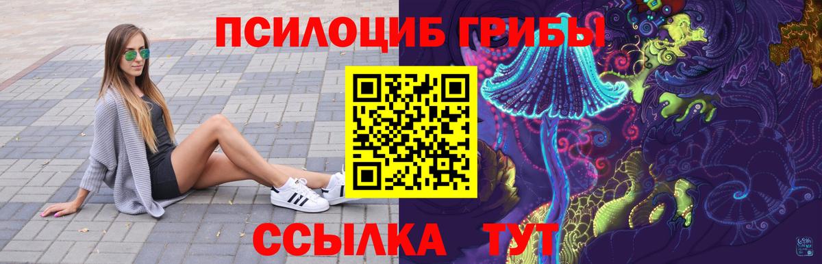 Касимов  Галлюциногенные грибы GOLDEN TEACHER  Галлюциногенные грибы Cubensis  Вход с VPN 